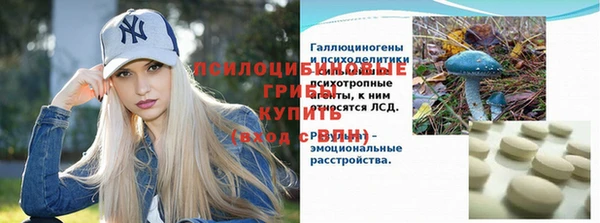 дмт Белокуриха