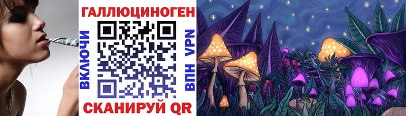ссылка на мегу ТОР  Йошкар-Ола  Галлюциногенные грибы Magic Shrooms 